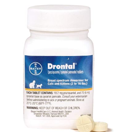 Dewormer for Cats: Drontal Broad Spectrum dewormer