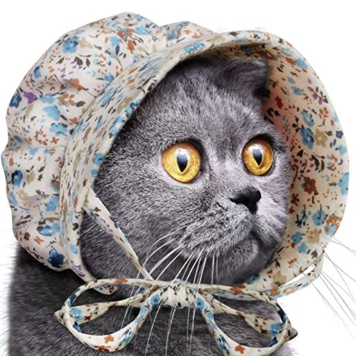 hats for cats: Accoutrement Cat Bonnet