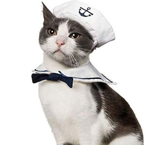 hats for cats: Namsan Pet Costume for Holiday Cat Halloween Hat