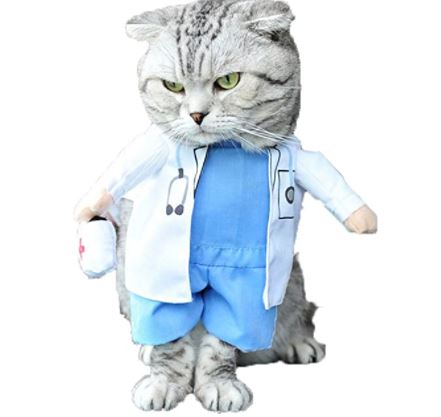 Bat Wings for Cats: Mikayoo Pet Cat Halloween Costume Doctor Nurse