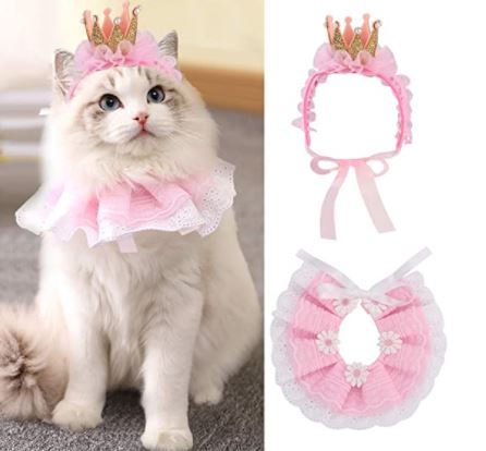 Bat Wings for Cats: Princess Cat Costumes for Cats