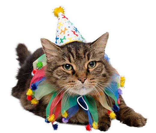 Bat Wings for Cats: Pet Krewe Cat Birthday Collar & Hat