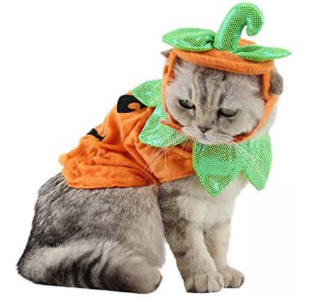Bat Wings for Cats: Bolbove Pet Pumpkin Costume for Cats