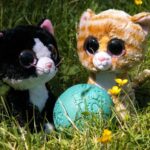 10 of the Best Cats Toys for Kids