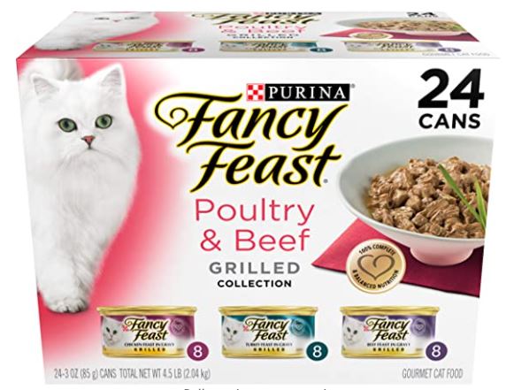 Best cat food for older cats with bad teeth: Purina Fancy Feast Gravy Wet Cat Food