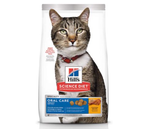 Best cat food for older cats with bad teeth: Hill's Science Diet Dry Cat Food