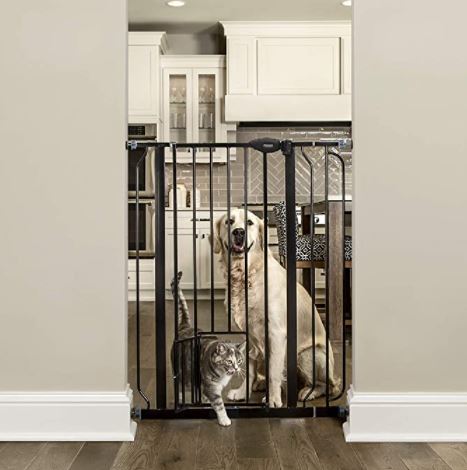 Pet Gate for Cats: Carlson Extra Tall Walk Through Pet Gate with Small Pet Door