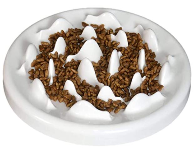 Slow Feeder for Cats: Lorde Slow Feeder Cat Bowl
