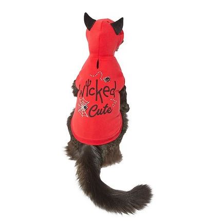 Hoodies for Cats: Frisco Wicked Cute Dog & Cat Hoodie