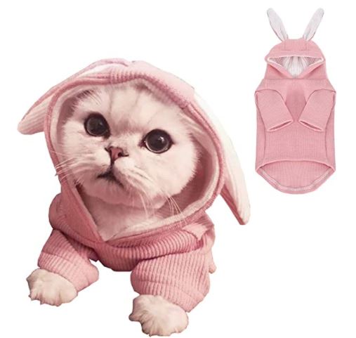 Hoodies for Cats: ANIAC Pet Hoodie Cat Rabbit Outfit